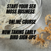 Start Your Seamoss Business